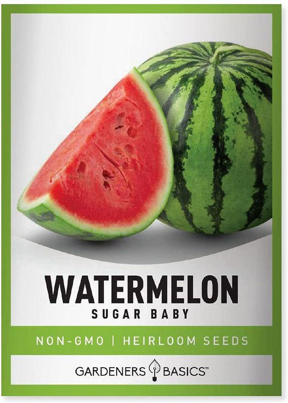 MKR Enterprises Tarbuj Seed  (960 per packet)