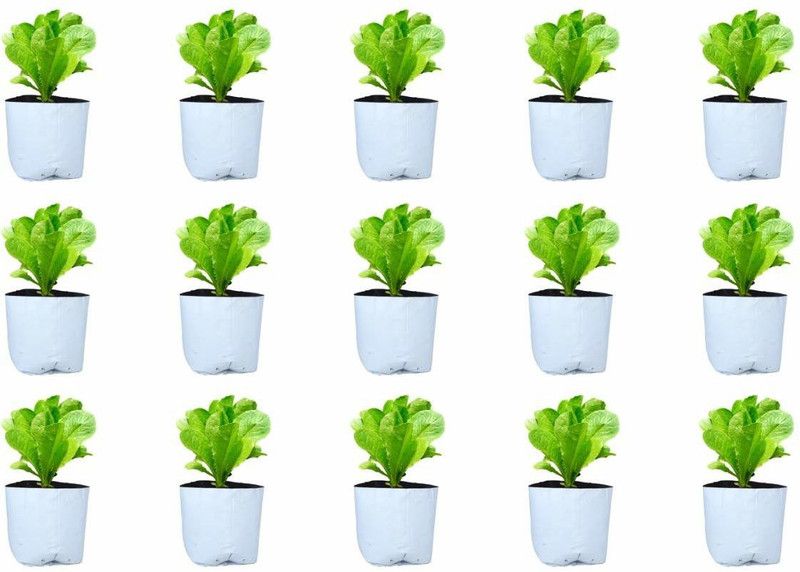 GROWTOP Balcony & Terrace Gardening, HOME GARDENING, VEGETABLE GARDENING Grow Bag