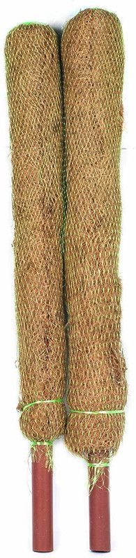 bio blooms Coco Pole -Moss and Coir Stick for Indoor Garden Mulch  (Brown 0.6 kg)