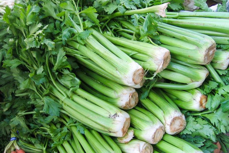 Mozette Celery Vegetable Seed  (18 per packet)