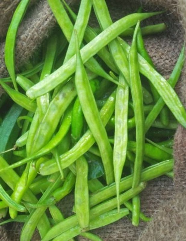 Paudha Organic Clusterbeans (guar) Seed  (40 per packet)
