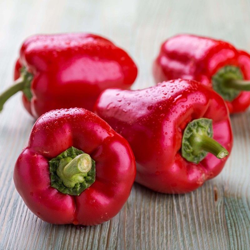 SeedsSunrise Seeds Sunrise F1 Hybrid Capsicum Red seeds 30 Seeds Seed  (30 per packet)