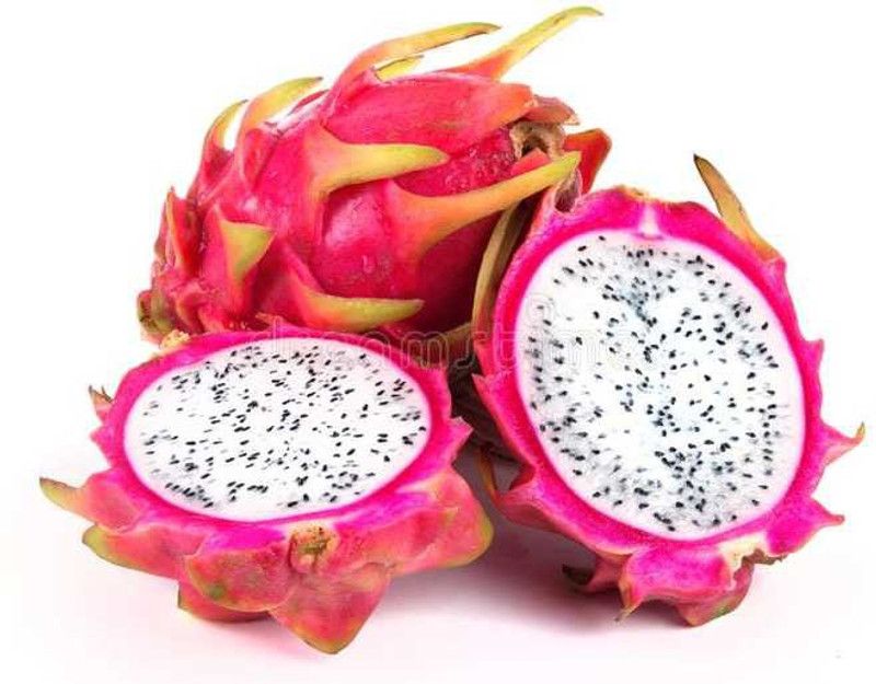 Oliver imported@ hybrid dragon fruit seed Seed  (18 per packet)