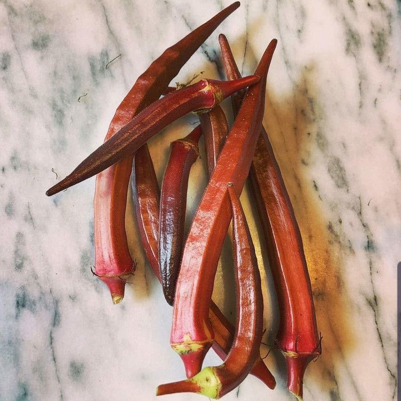 KANAYA Lal Bhindi Red Okra Lady Finger Vegetable Seed  (950 per packet)