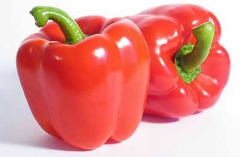 KANAYA Shimla mirch Seed  (500 per packet)