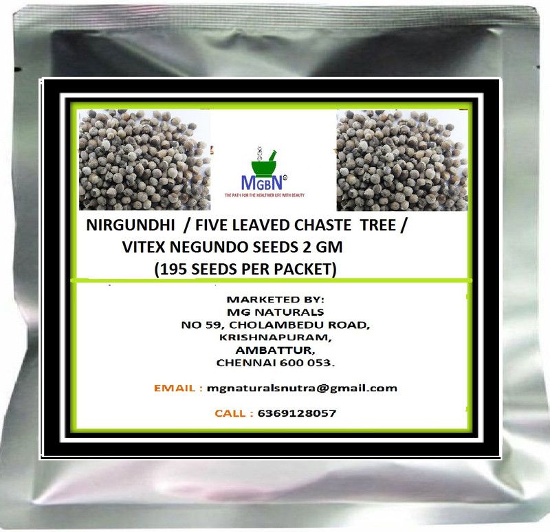 MGBN NIRGUNDHI / FIVE LEAVED CHASTE TREE /VITEX NEGUNDO SEEDS 2 GM Seed  (195 per packet)