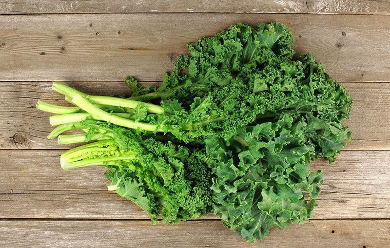 Paudha Green kale Seed  (46 per packet)
