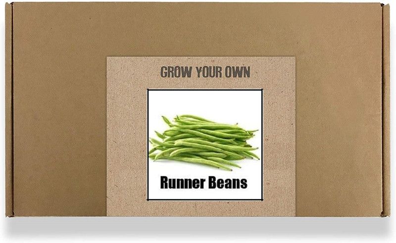 Qualtivate Runner Beans Seed  (250 per packet)