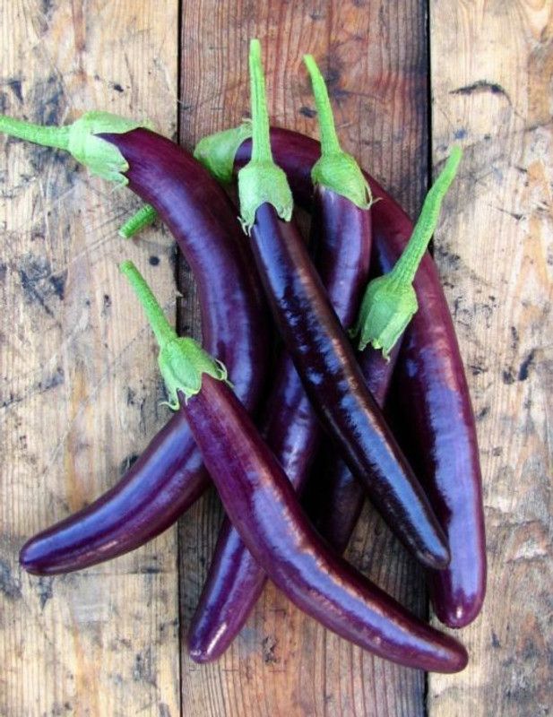Mozette Organic Brinjal purple long Seed  (31 per packet)