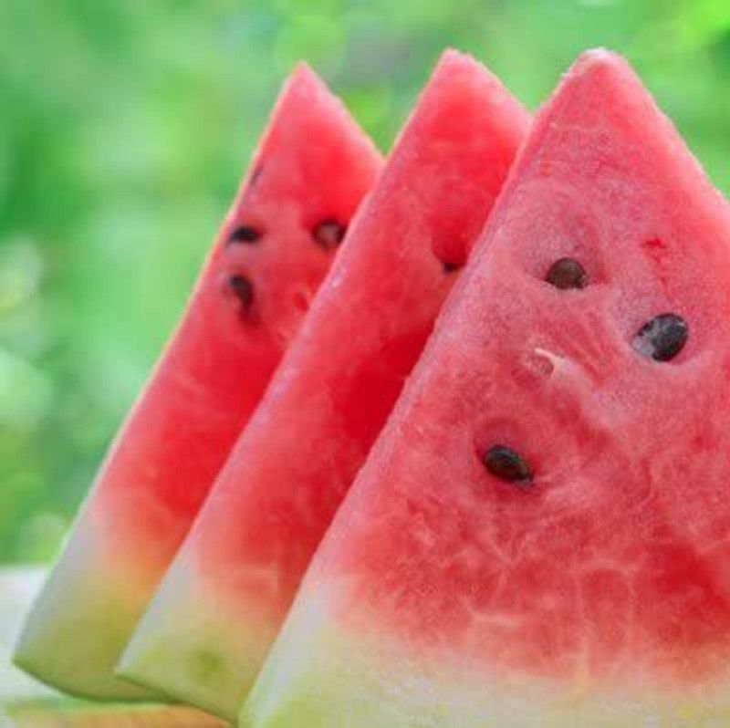 WILLVINE PAU-14 Jubilee Sweet Watermelon Seeds Seed  (200 per packet)