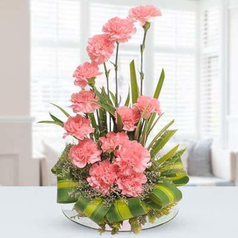 CYBEXIS Flowers Light Pink Carnations Seed  (50 per packet)