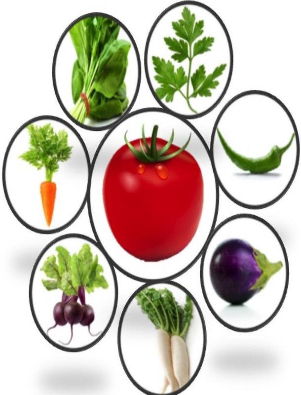 VibeX ® VXI-355 Organics Seeds Kitchen Vegetable Garden Combo Of 9 Packs Seed  (125 per packet)