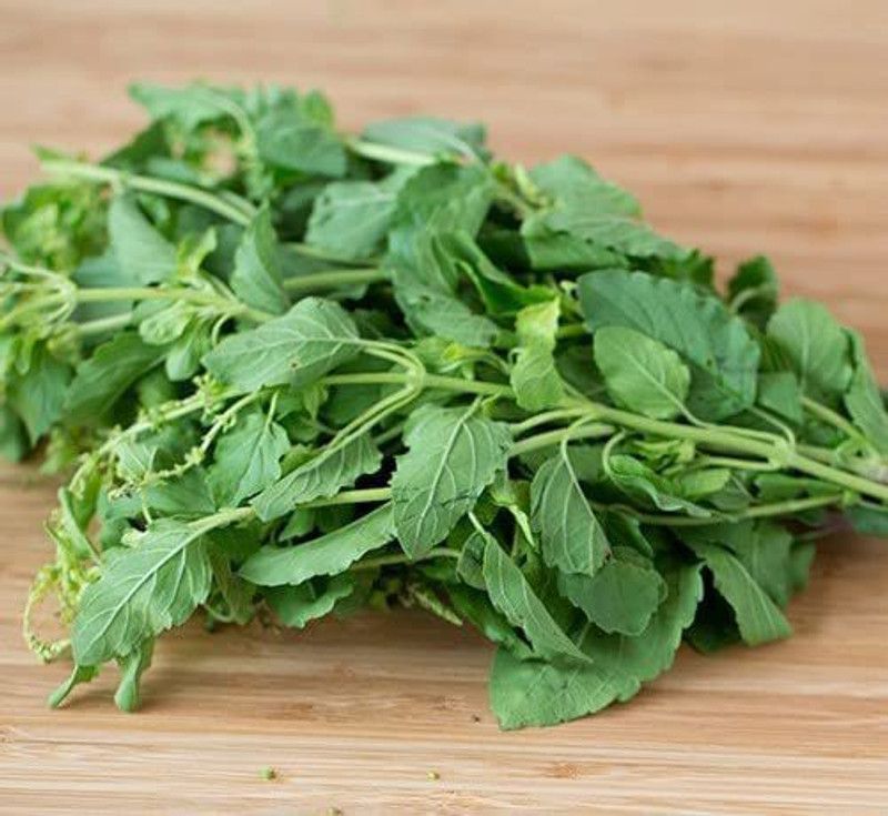 WILLVINE GBPUT-14 Thai Holy Basil Seeds Seed  (2000 per packet)