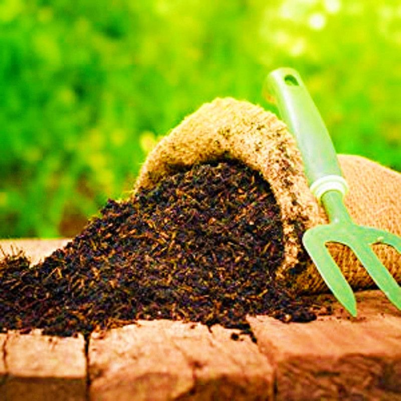 Navya germination Organic Compost Soil for Home Plants and Gardening 500 grm One of The Best Pack for Using Soil 100% Organic. Fertilizer  (5 g, Powder)