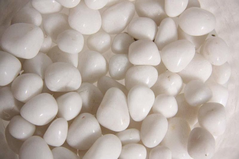 Green Plant indoor white1127 Polished Asymmetrical Marble Stone  (White 20 kg)