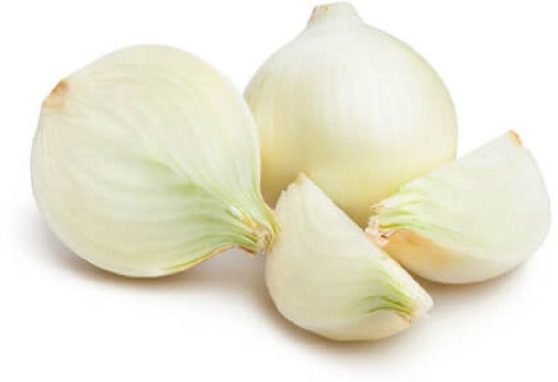 XOLDA Organic White Onion Plant Seed  (63 per packet)