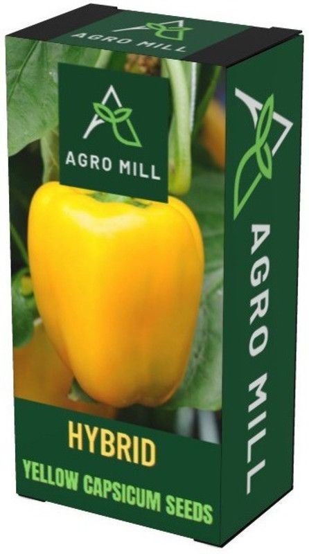 AGRO MILL BELLPEPPER/YELLOW CAPSICUM FOR KITCHEN GARDEN Seed  (20 per packet)