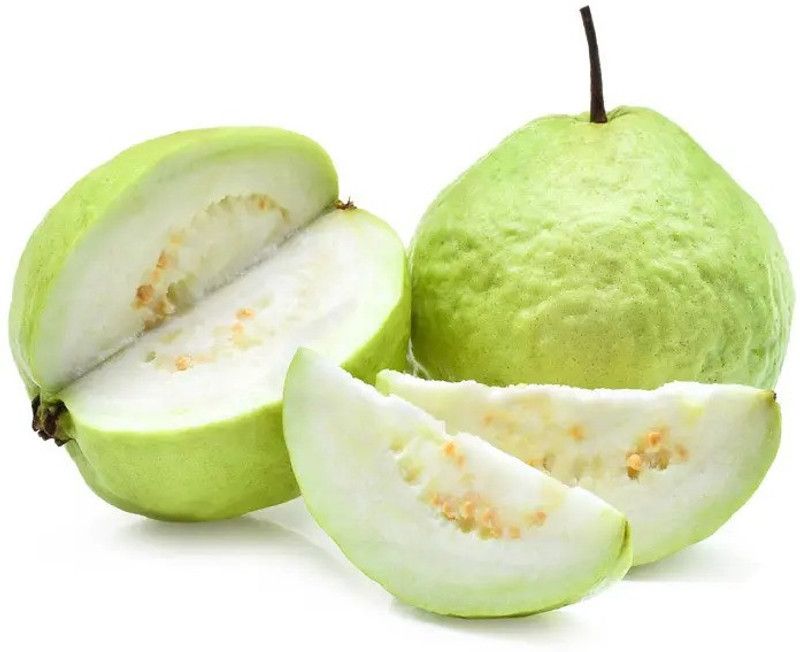 Paudha Guava Hybrid Seed  (56 per packet)
