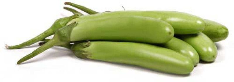 KANAYA Brinjal Green Long Seed  (10 per packet)