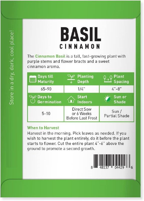 VibeX ® RXI-55 Basil Cinnamon Ocimum Basilicum Seed  (1000 per packet)