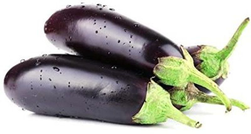 SaaHeli Brinjal Seed  (165 per packet)