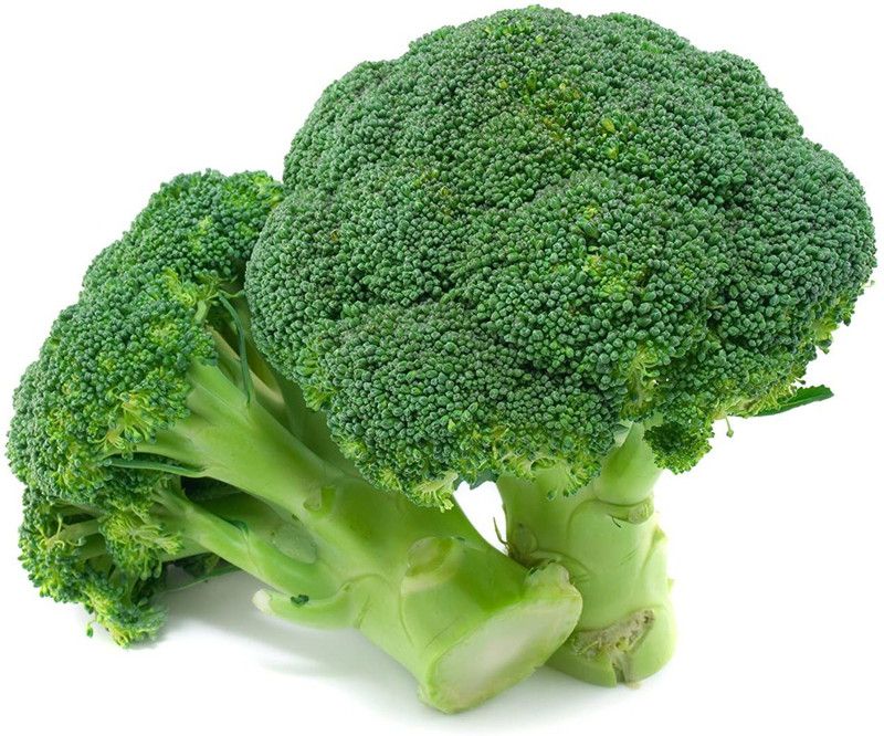 SONIRO BROCCALI SEEDS HYBIRD F1 GREEN GOBHI Seed  (100 per packet)