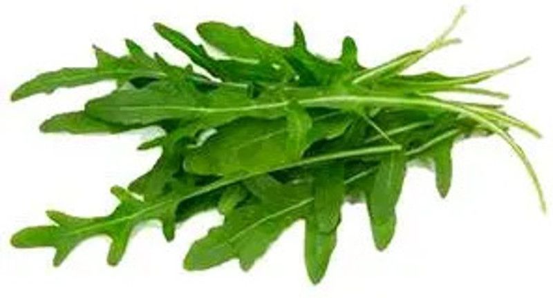 Nodoc Organic rocket herb Seed  (43 per packet)