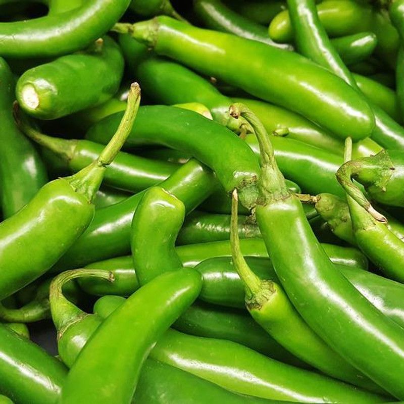 granthi Chilly/Green Chilli/हरी मिर्च Seed  (1000 per packet)