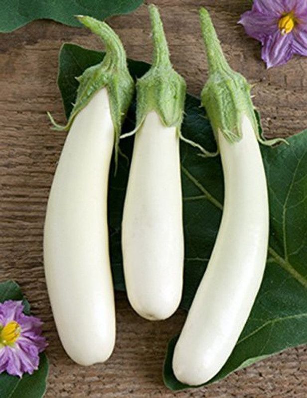 The Entacloo Vegetable Seeds |Brinjal White Long Hybrid Vegetable Seeds For Home Gardening ( 30to 50 ) Seeds Seed  (80 per packet)