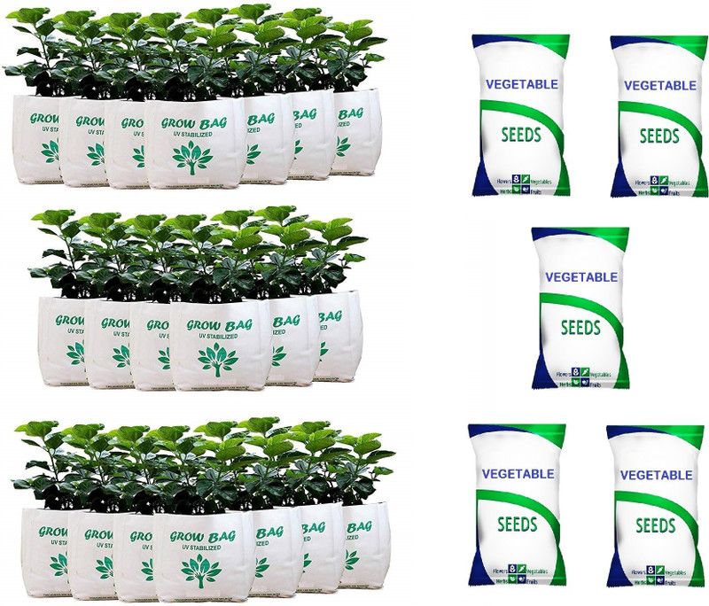 Grow Basket Grow Bag - UV Stabilized, Long Life Bags for Small and Medium Plants ( Pack of 20 Bags - Size: 30 x 16 x 16 cm) + ( 5 Vegetables seeds packets) Seed  (20 per packet)
