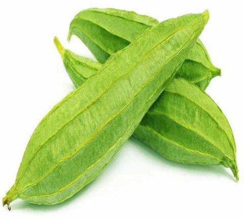 KANAYA Dhari Tori Seed  (30 per packet)