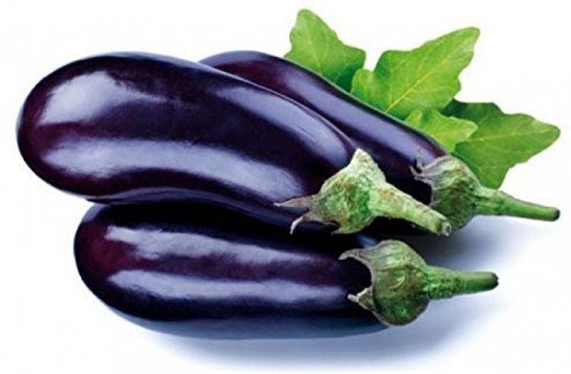 DIOART ™ RDX-925-Brinjal Seeds - Black Beauty For Large Area Seed  (100 per packet)