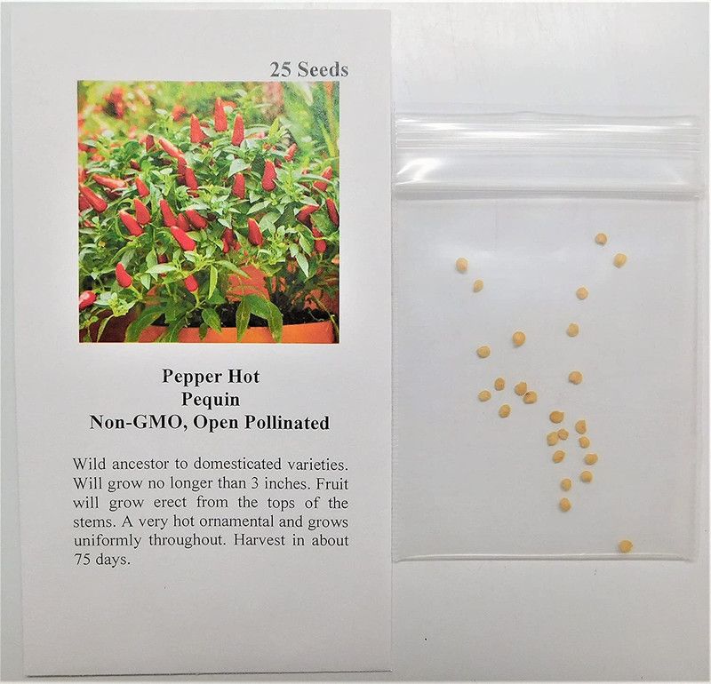 WILLVINE GUA-770 Pequin Red Chilli Seeds Seed  (200 per packet)
