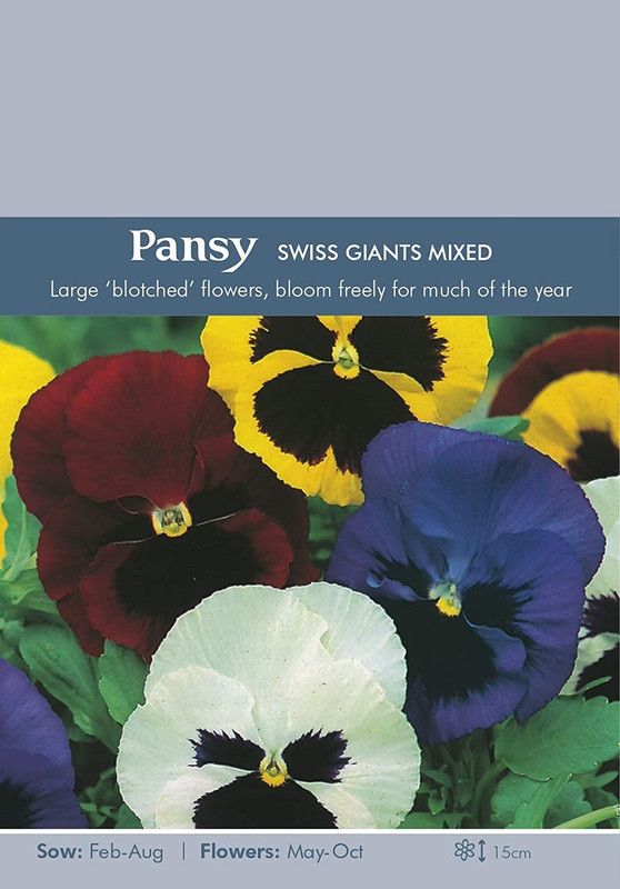 CYBEXIS Pansy Swiss Giants Mixed Seeds Seed  (50 per packet)