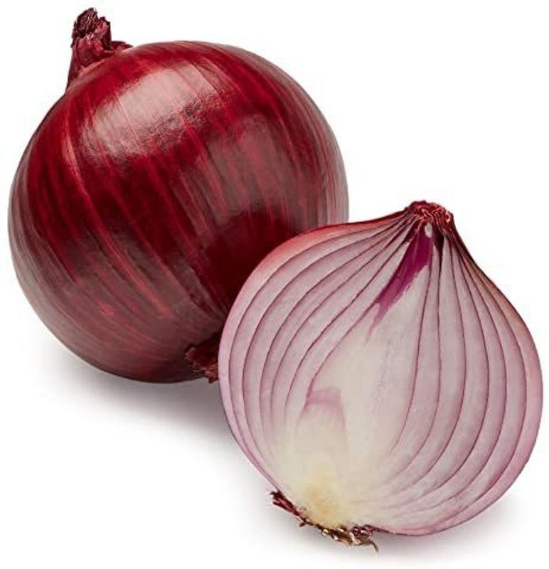 Paudha Onion Seed  (42 per packet)