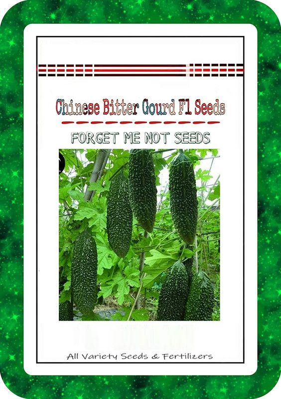 Qualtivate ™ Chinese Bitter gourd Seeds High Quality F1 Hybrid Variety Seeds Seed  (20 per packet)