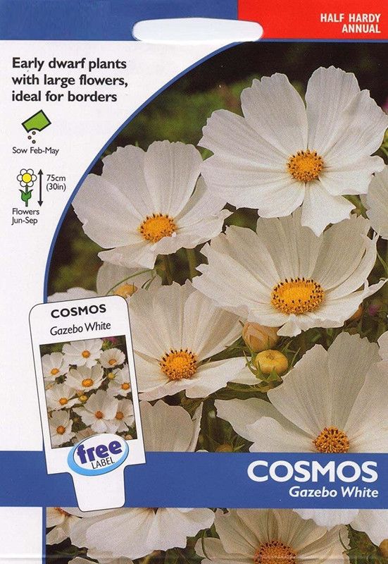 CYBEXIS Cosmos Snow Puff Seeds. Snow Puff Cosmos Seed  (1 g)