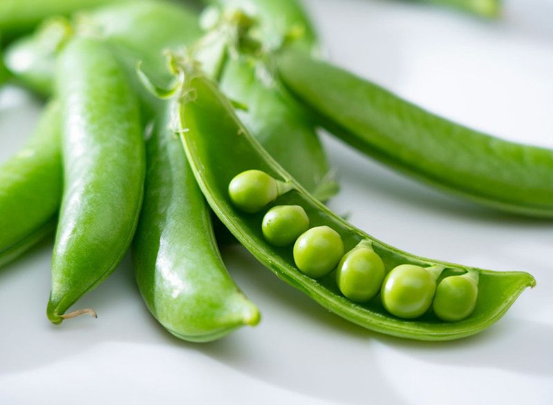 XOLDA Green peas plant Seed  (42 per packet)