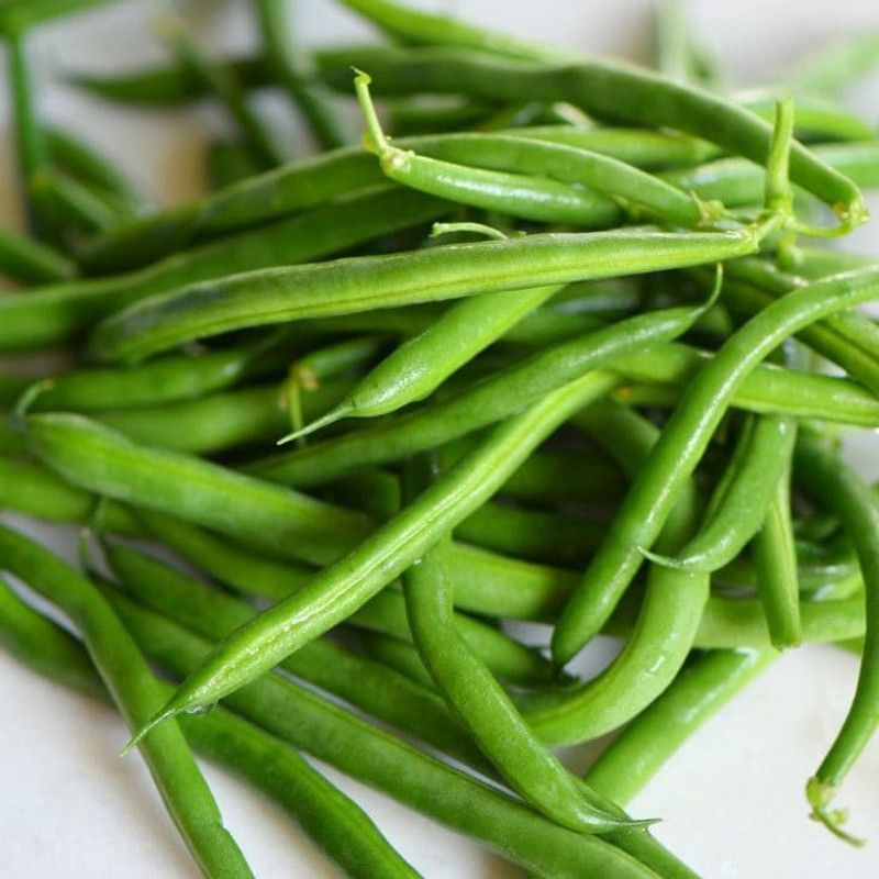 Xesas Beans Seed  (40 per packet)
