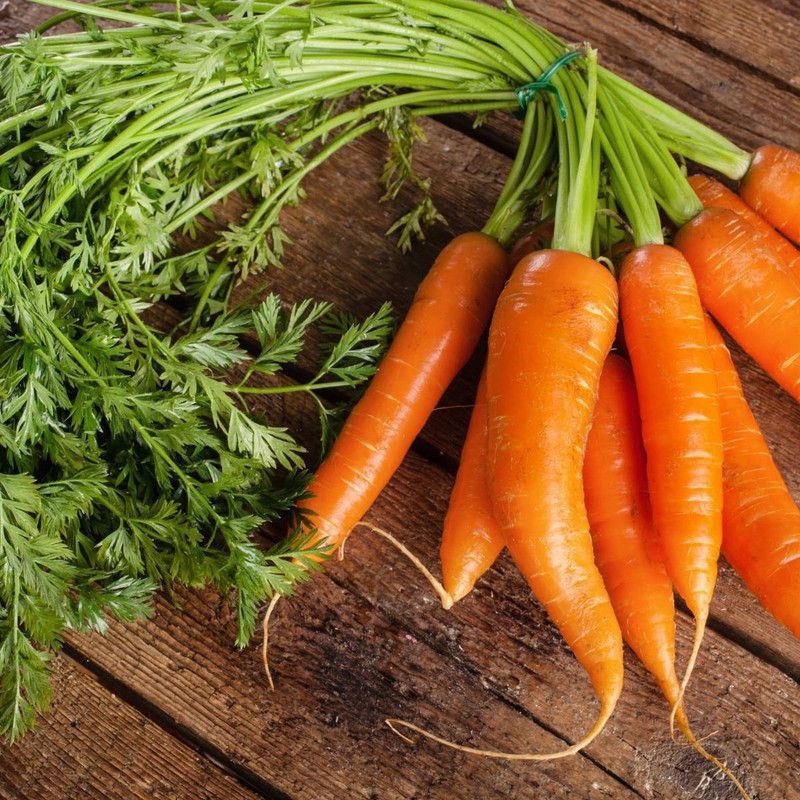 Mozette Carrot Hybrid Seed  (31 per packet)