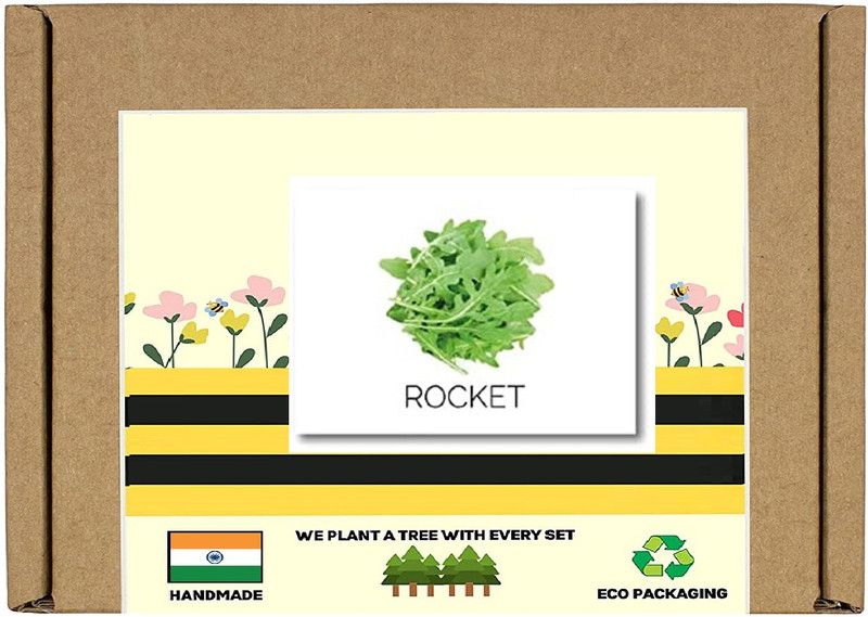CYBEXIS F1 Hybrid Cultivated Rocket Seeds2800 Seeds Seed  (2800 per packet)