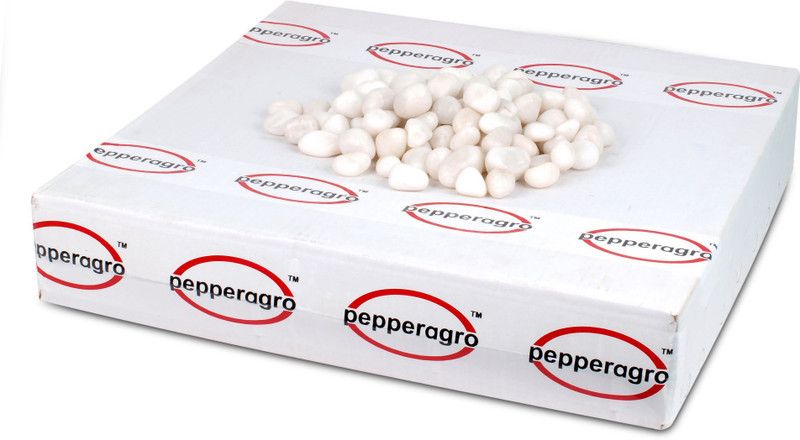 Pepper Agro Pebbles Stones for Decoration / Garden / Table / Aquarium 10 to 15 mm White Polished Pebble, 4.7 Kg Polished Oval Rock Pebbles  (White 4.7 kg)