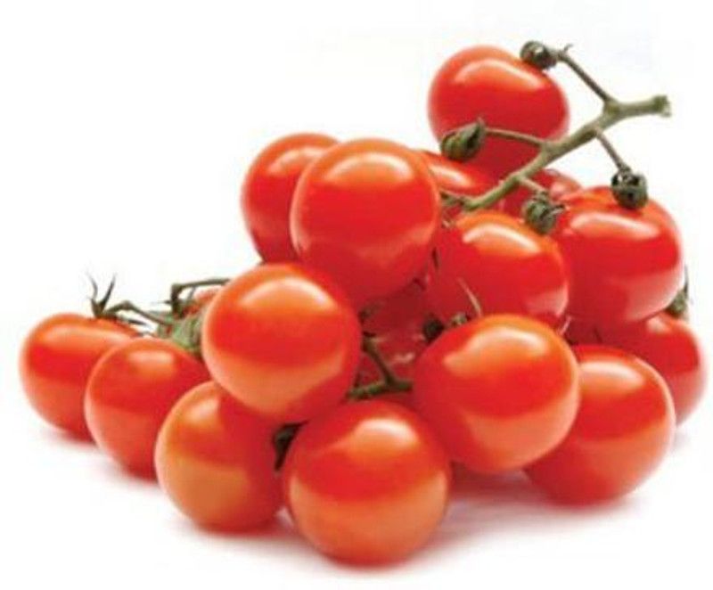 Nodoc Cherry tomato Seed  (33 per packet)