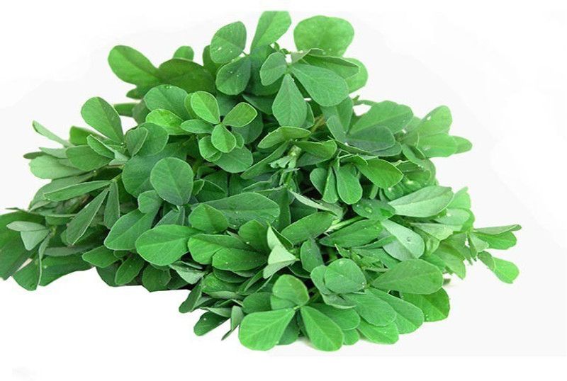 Greenly Methi/Fenugreek Seed  (35 per packet)