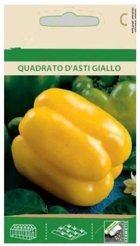 Qualtivate Yellow Capsicum Seed  (1000 per packet)