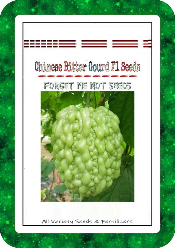 Qualtivate ® Chinese Bitter gourd Seeds High Quality Seeds Seed  (350 per packet)