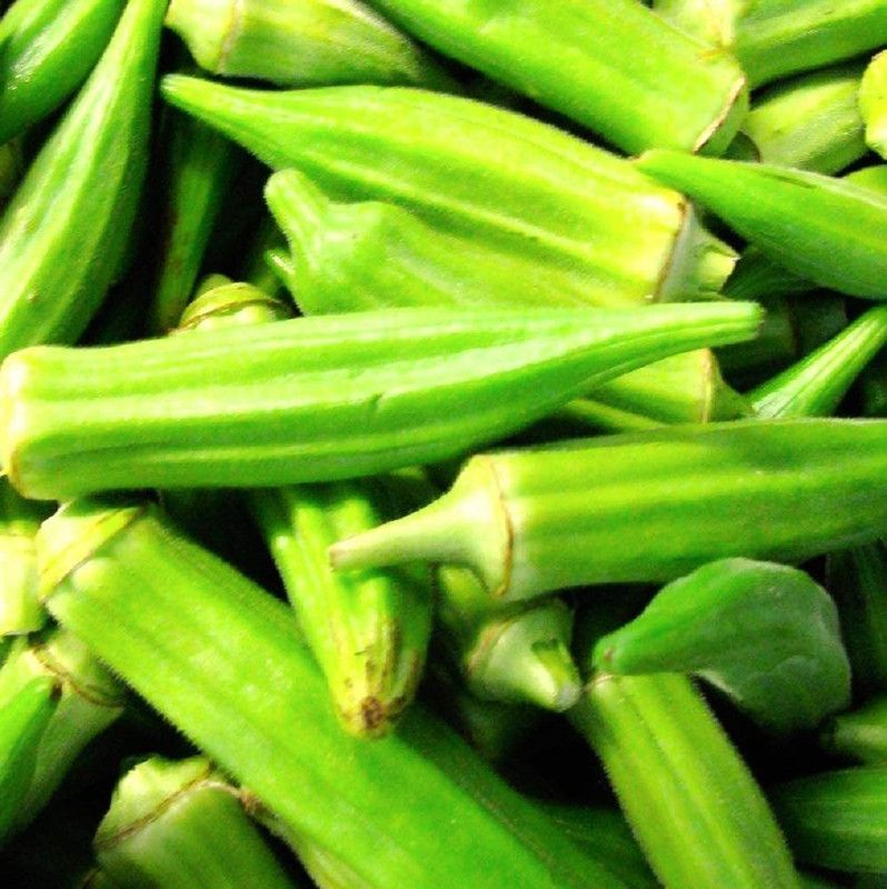 MKR Enterprises Red Okra Seed  (380 per packet)