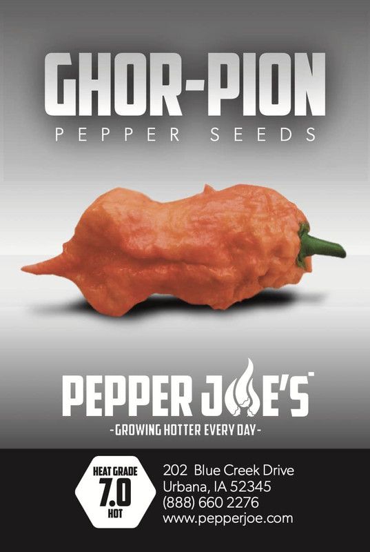 WILLVINE VXI-978 Ghorpion Pepper Chilli Seeds Seed  (200 per packet)