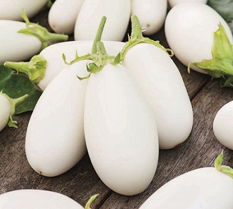 Greenly Brinjal White Seed  (17 per packet)