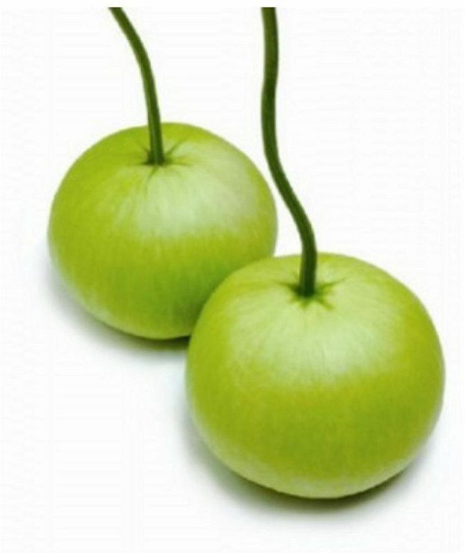 UGRA Chinese Bottle Gourd Seed  (40 per packet)